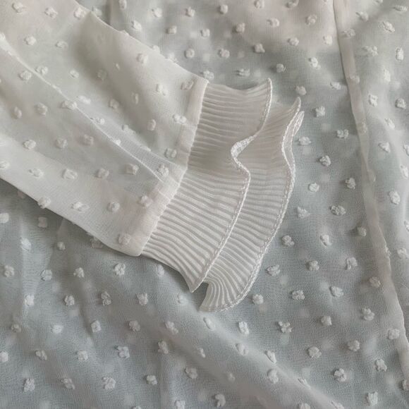 Beautiful Sheer Blouse  - Picture 4 of 7